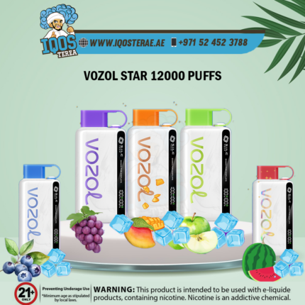Vozol STAR 12000 Puffs Disposable Vape In UAE