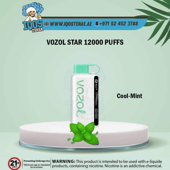 VOZOL-STAR-12000-PUFFS-Cool-Mint